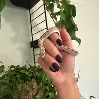 Heterodon Nasicus 0.1