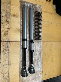 Cartucce Ohlins NIX 30 FGK 2124 e 2 kit molle