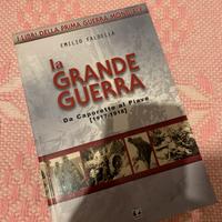 La grande guerra, Da Caporetto al Piave
