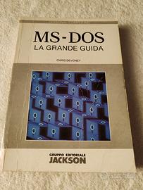 Libro ZX Spectrum e MS DOS 1980 Leggere