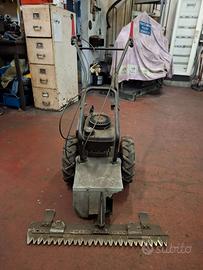 MOTOFALCIATRICE BENASSI