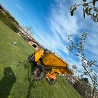 Manutenzione verde, disinfestazioni insetti