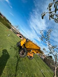 Manutenzione verde, disinfestazioni insetti