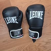 guanti kickboxing Leone