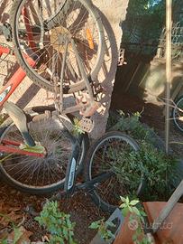 biciclette