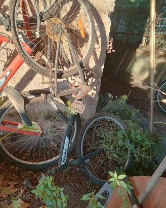 biciclette