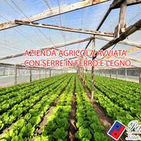 Terreno agricolo - Fondi