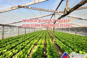 Terreno agricolo - Fondi