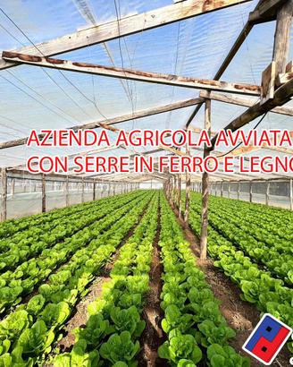 Terreno agricolo - Fondi