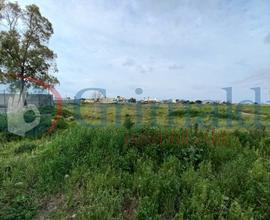 Terreno Agricolo Ugento [43petrellaVRG]