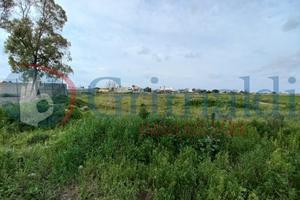 Terreno Agricolo Ugento [43petrellaVRG]