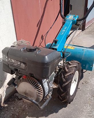 motozappa Bertolini 