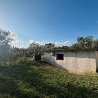 Rustico uso magazzino con terreno pianeggiante