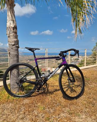Cannondale SuperSix EVO Disc Rapha Ultegra TagliaM