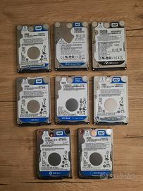 Hard disk interni  WD 500 gb