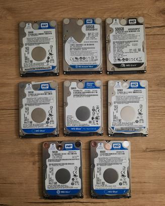 Hard disk interni  WD 500 gb