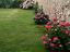 Immagine 28