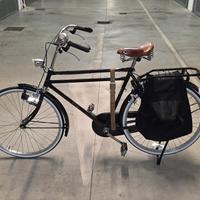 Bici da passeggio Radar Rubino 26 uomo 