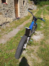 Sherco 290