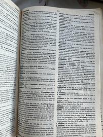 Dizionario Latino IL Castiglioni Mariotti 3ª Edizi