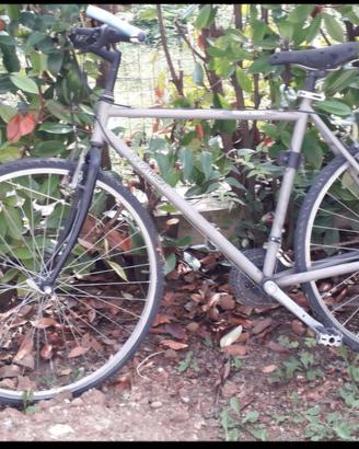 Mountaibike mtb