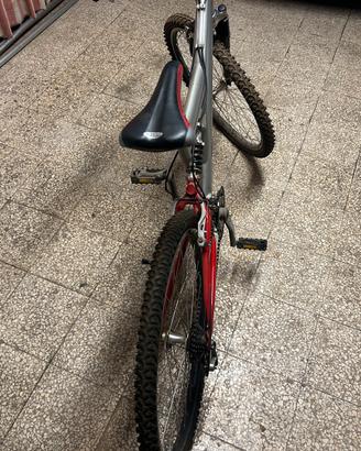 Bicicletta