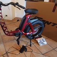 Bici elettrica