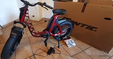 Bici elettrica
