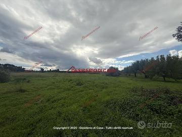 Terreno, Misiliscemi.