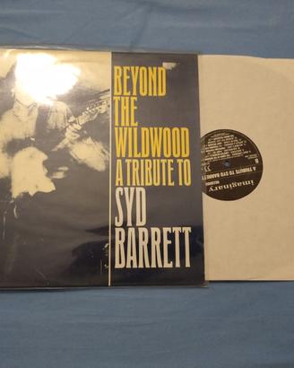 Vinile syd barrett