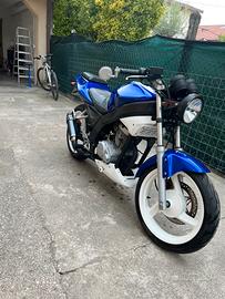 Daelim roadwin 125 permuta