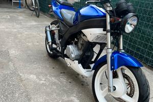 Daelim roadwin 125 permuta