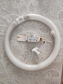 Lampada al neon circolare  vintage