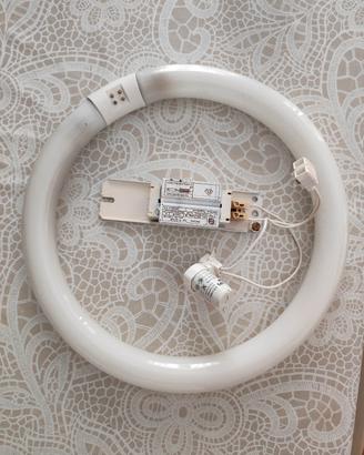 Lampada al neon circolare  vintage