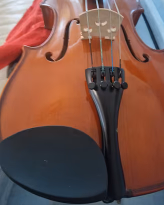 Wisemann Viola da studio con custodia
