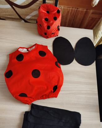 vestito coccinella 