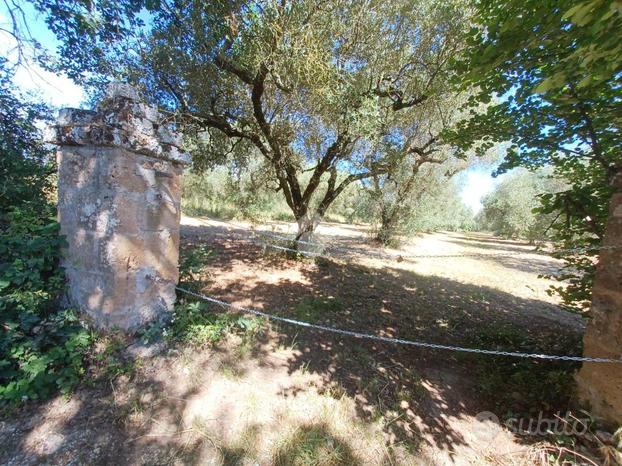 TER. AGRICOLO A CASTEL SANT'ELIA