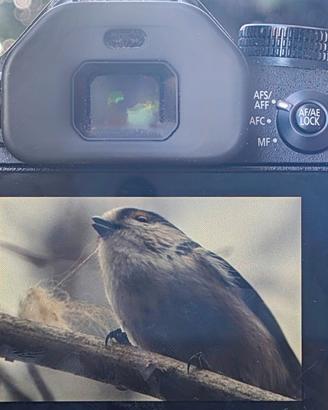 Fotocamera Panasonic Lumix 4K + ACCESSORI