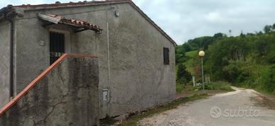 Casa in rustico - Valle Avellana (PU)