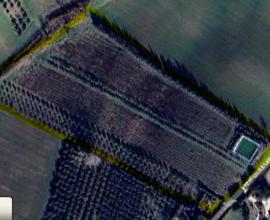 Terreno agricolo con pozzo, ulivi e lago