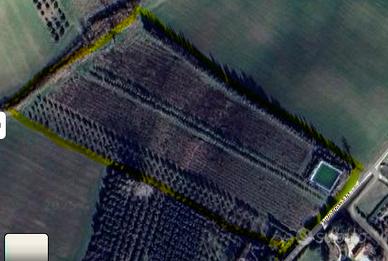 Terreno agricolo con pozzo, ulivi e lago