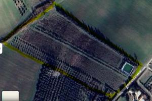 Terreno agricolo con pozzo, ulivi e lago