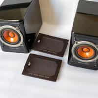 Coppia Casse Acustiche JVC SP-EXP1 "Wood Cone"