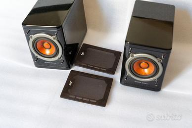 Coppia Casse Acustiche JVC SP-EXP1 "Wood Cone"