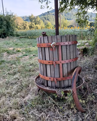 torchio 