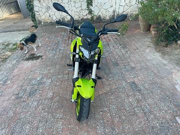 Benelli Tornado Naked T 125 - 2023