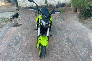 Benelli Tornado Naked T 125 - 2023