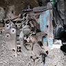 cambio-fiat-grande-punto-90-cv