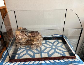 Acquario tartarughe