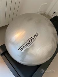 Ball Technogym